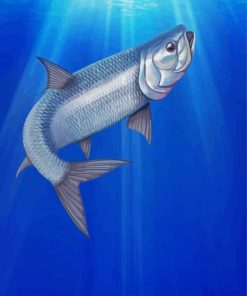 Tarpon Fish Animal paint by numbers