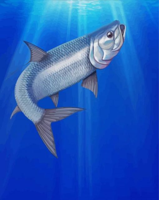 Tarpon Fish Animal paint by numbers