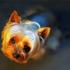 Teacup Yorkshire Terrier paint by numbers