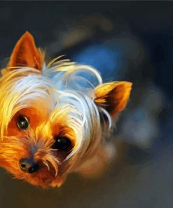 Teacup Yorkshire Terrier paint by numbers