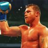 The Boxer Canelo paint by numbers