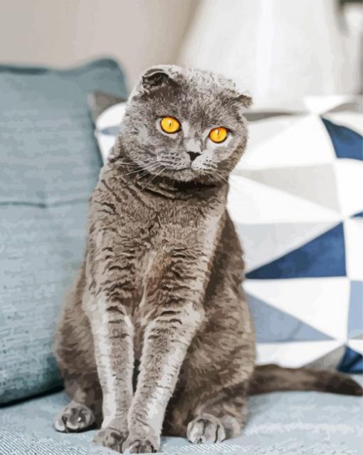 The Scottish Fold Grey Cat Paint By Number