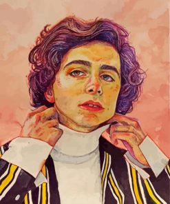 Timothee Chalamet Art paint by numbers