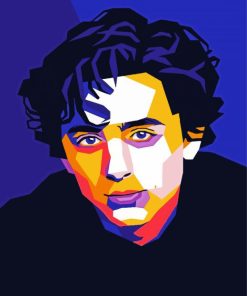 Timothee Chalamet Pop Art paint by numbers