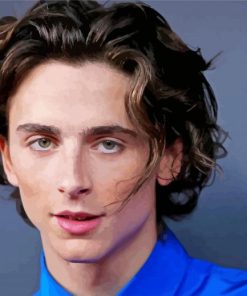 Timothee Chalamet paint by numbers