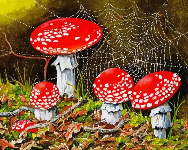 Toadstools Illustration paint by numbers