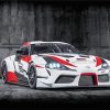 Toyota GR Supra paint by numbers