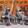 vintage Ice Skates paint by numbers