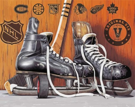 vintage Ice Skates paint by numbers