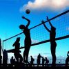 Volleyball Players Silhouette paint by numbers