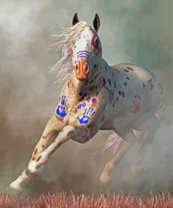 Warrior Appaloosa Horse Paint By Number