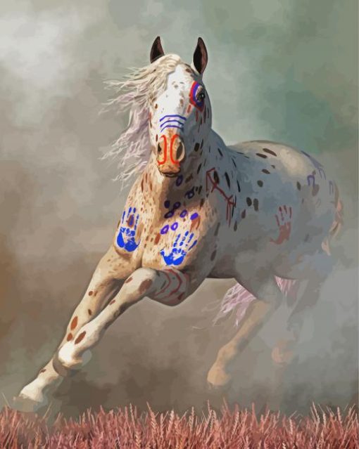 Warrior Appaloosa Horse Paint By Number