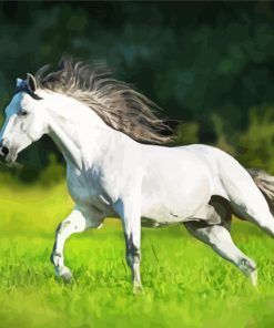 White Andalusian Horse Running Paint By Number