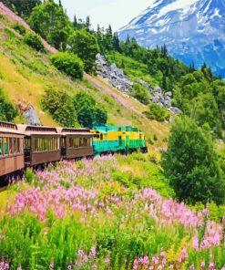 White Pass and Yukon Route Railway Alaska paint by numbers