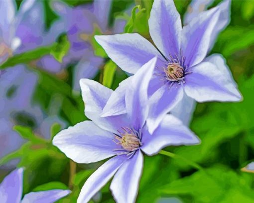 White Purple Clematis paint by numbers