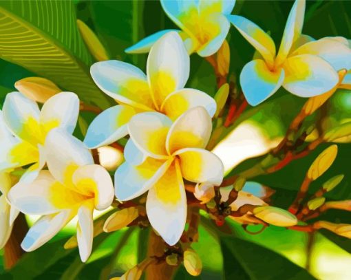 White Yellow Plumeria paint by numbers