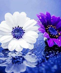 White and Purple Daisy Raindrop paint by numbers