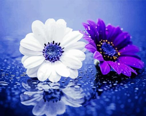 White and Purple Daisy Raindrop paint by numbers