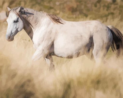 White Brumby paint by numbers