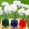 White Carnations Glasses paint by numbers