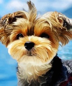 Yorkshire Terrier Puppy Paint By Number