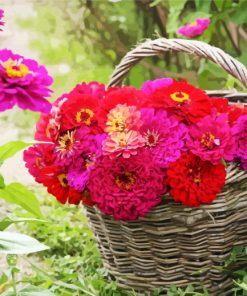 Zinnias Basket paint by numbers