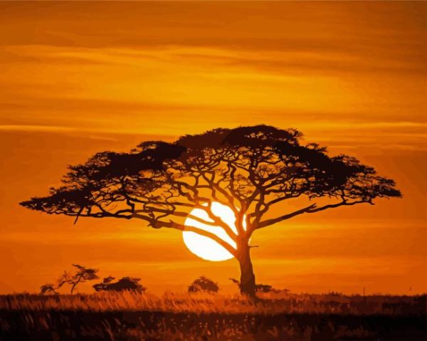 Acacia Tree Silhouette paint by numbers