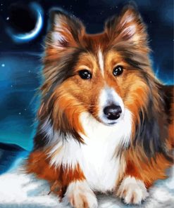 Adorable Sheltie Dog Paint By Number