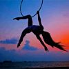 Aerial Silks Silhouette paint by numbers