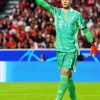 Aesthetic Manuel Neuer Paint By Number