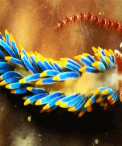 Aesthetic Nudibranch paint by numbers