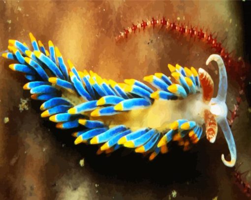 Aesthetic Nudibranch paint by numbers