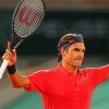 Aesthetic Roger Federer Paint By Number