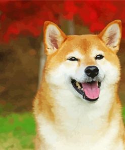 Aesthetic Shiba Inu Dog Paint By Number