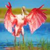 Aesthetic Spoonbill Pink Bird paint by numbers