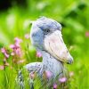 Aesthetic Shoebill Paint By Number