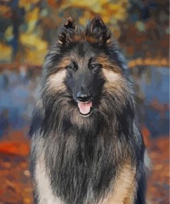 Aesthetic Tervuren Paint By Number