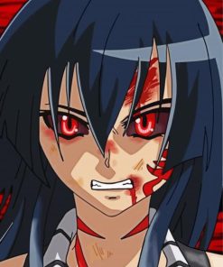 Akame Anime Girl Paint By Number