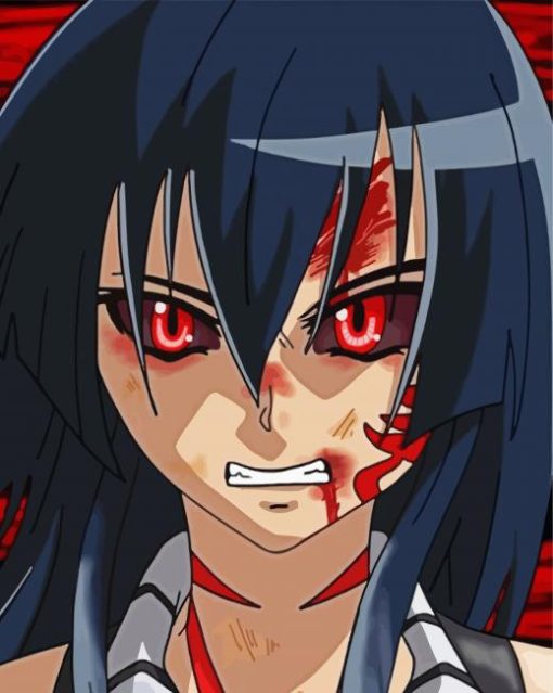 Akame Anime Girl Paint By Number