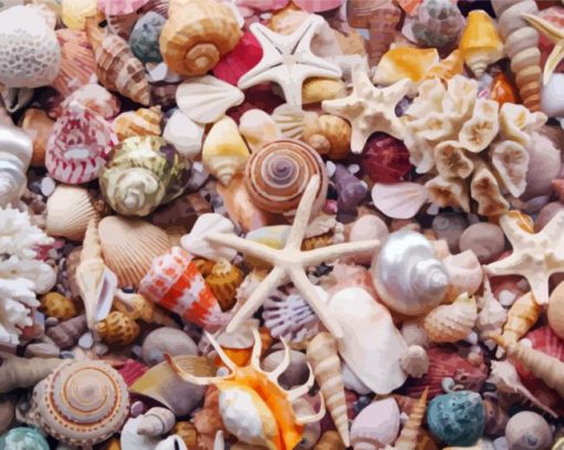 Aesthetic Seashells Illustration Paint By Number