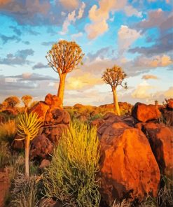 Aloe Dichotoma Trees Namibia paint by numbers