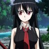 Anime Girl Akame Ga Kill paint by numbers