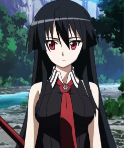 Anime Girl Akame Ga Kill paint by numbers