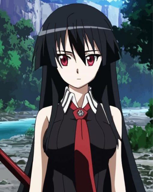 Anime Girl Akame Ga Kill paint by numbers