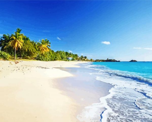 Antigua Carribean Beach Paint By Number