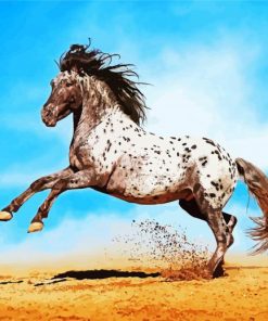 Appaloosa Animal Paint By Number