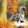 Appaloosa Horse Running In River Paint By Number