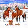 Appaloosa Horses Family Paint By Number