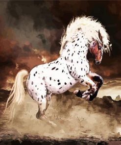 Appaloosa Horse Art Paint By Number