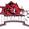 Arkansas Razorback Logo Paint By Number